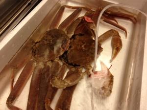 譚セ闡峨ぎ繝祇convert_20120306162302